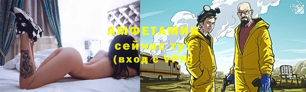 ГАЛЛЮЦИНОГЕННЫЕ ГРИБЫ Абаза