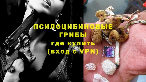 дживик Новозыбков